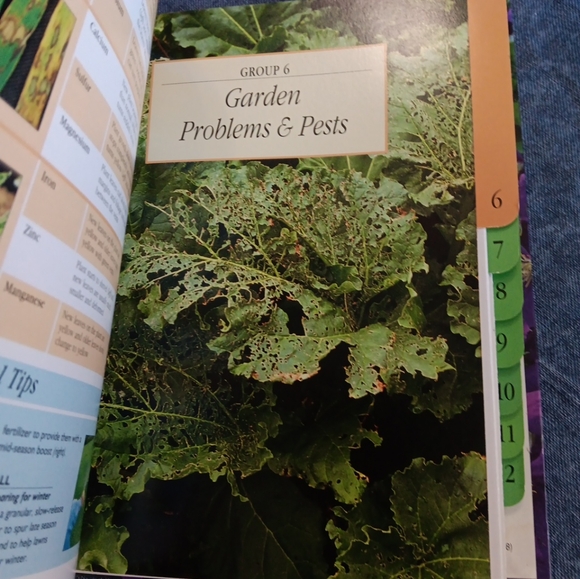Gardening book - Picture 4 of 4